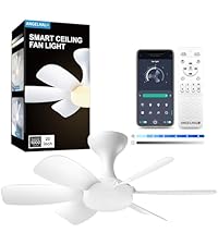 https://m.media-amazon.com/images/S/aplus-media-library-service-media/5ff80670-3c83-41e8-b03c-01917467eecf.__AC_SR200,225___.jpg