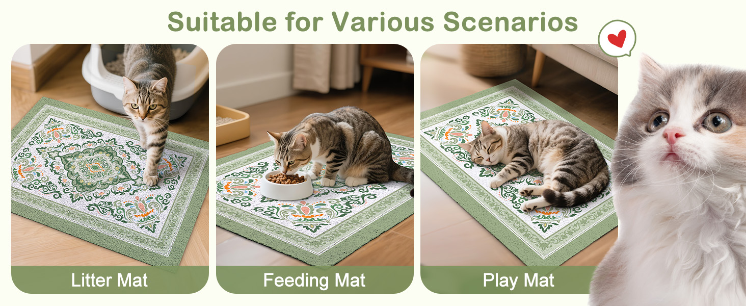 litter box mat