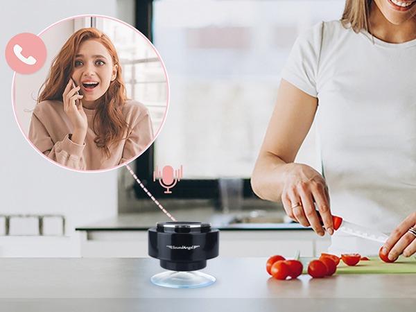 shower speaker with microphone