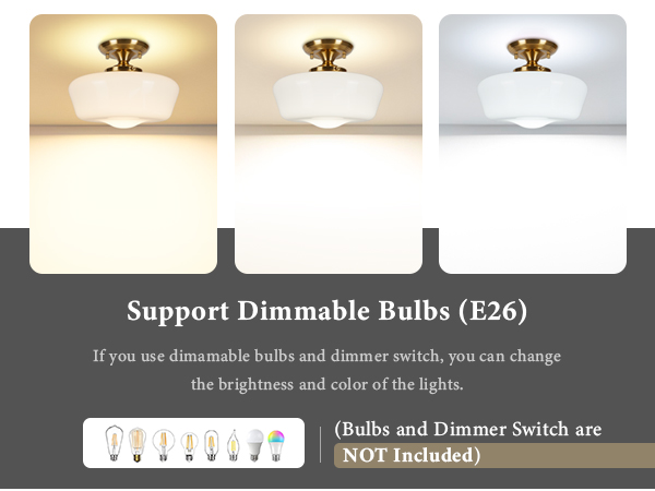 schoolhouse ceiling light