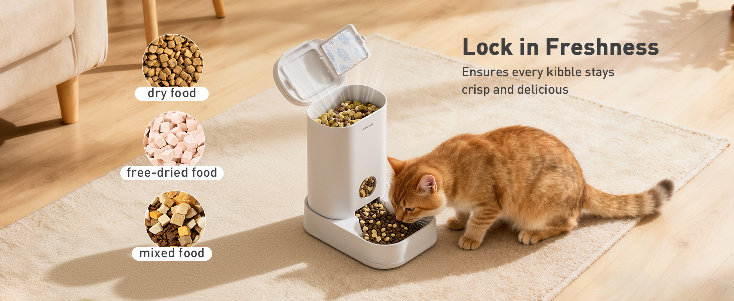 automatic cat feeder