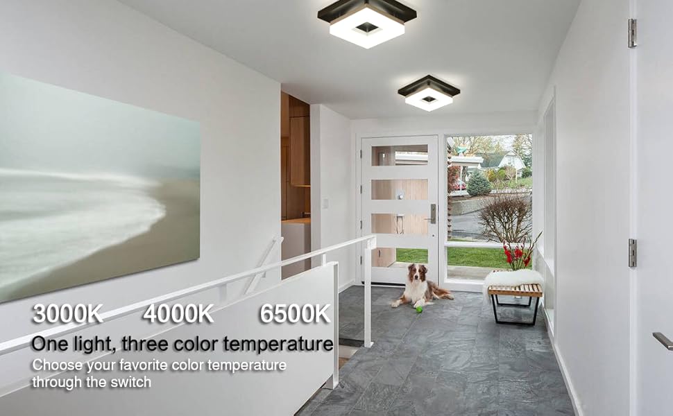 Anmaice 8in flush mount dimmable led ceiling light fixtures Hallway Balcony Cloakroom lights