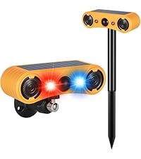 https://m.media-amazon.com/images/I/41v78PAHVnL.__AC_SR200,225___.jpg