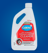 Steam Carpet Cleaner