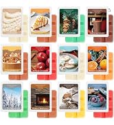 STRN Wax Melts, 12 Scented Wax Cubes, Winter Scent Long-Lasting Fragrance Soy Wax for Wax Warmers...