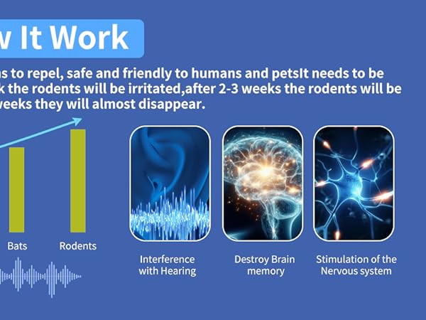 Indoor Mouse Traps for Home