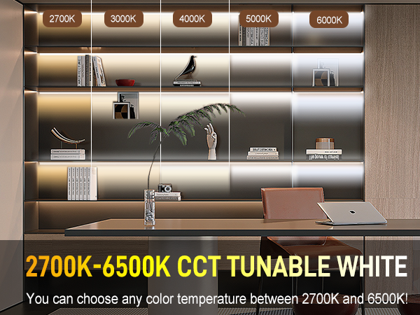 CCT COB LED STRIP