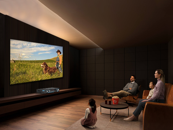 Stereo Home Audio Amplifier