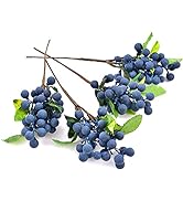 HUIANER Artificial Berries, Simulation Flowers Artificial Blueberry with Stems Lifelike Fruits Fa...