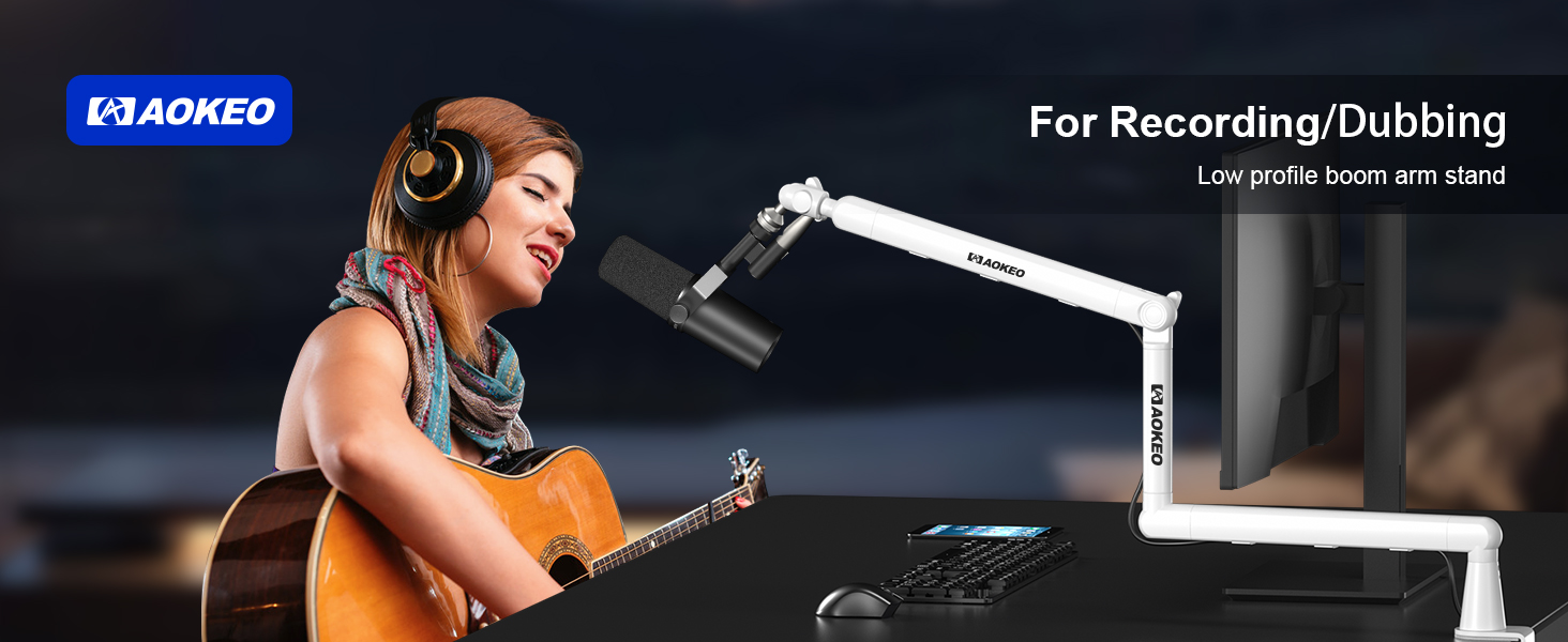mic arm