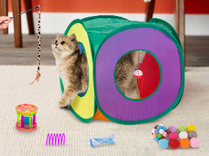 cat toys set
