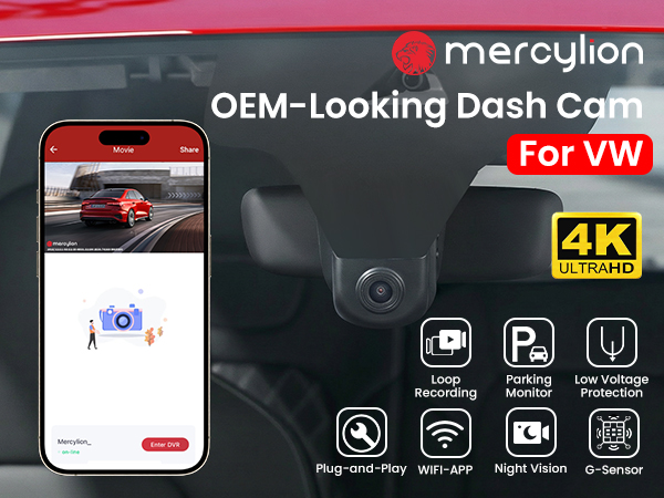vw dashcam