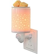 Plug in Fragrance Wax Warmer for Scented Wax, Fragrance Candle Wax Melt Warmer- Birthday Gift for...