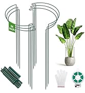 Unves 6 Pack Plant Support Peony Cage, 10" W x 24" H Half Round Ring Metal Plant Stakes, Heavy Du...