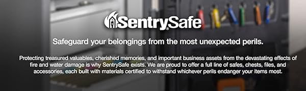 sentry_safe_banner
