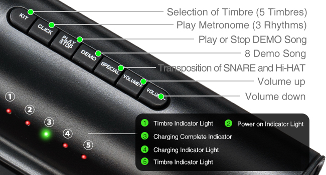 Great Holiday Birthday