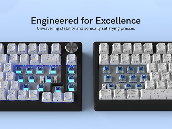 Engineered for Excellence