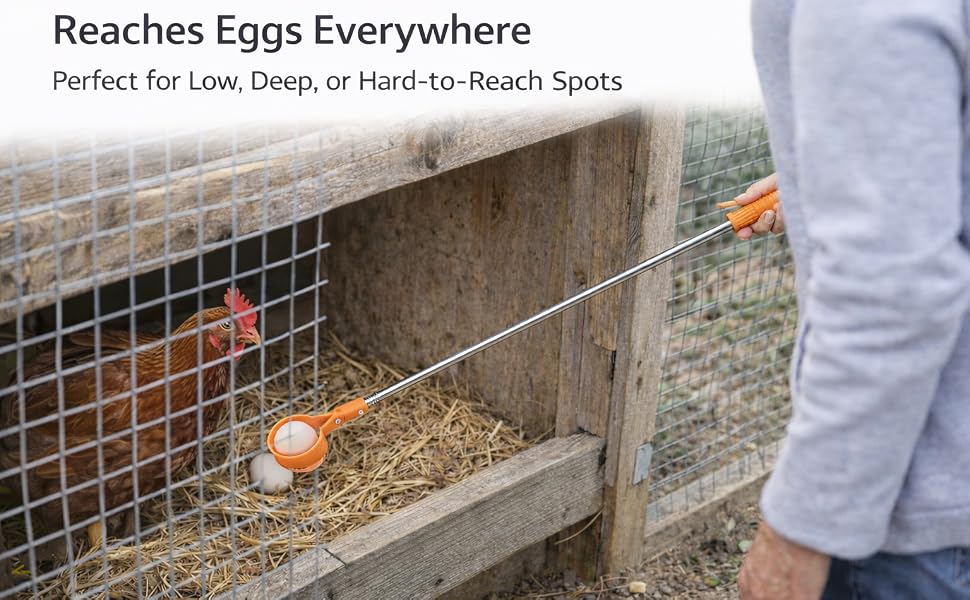 egg grabber3