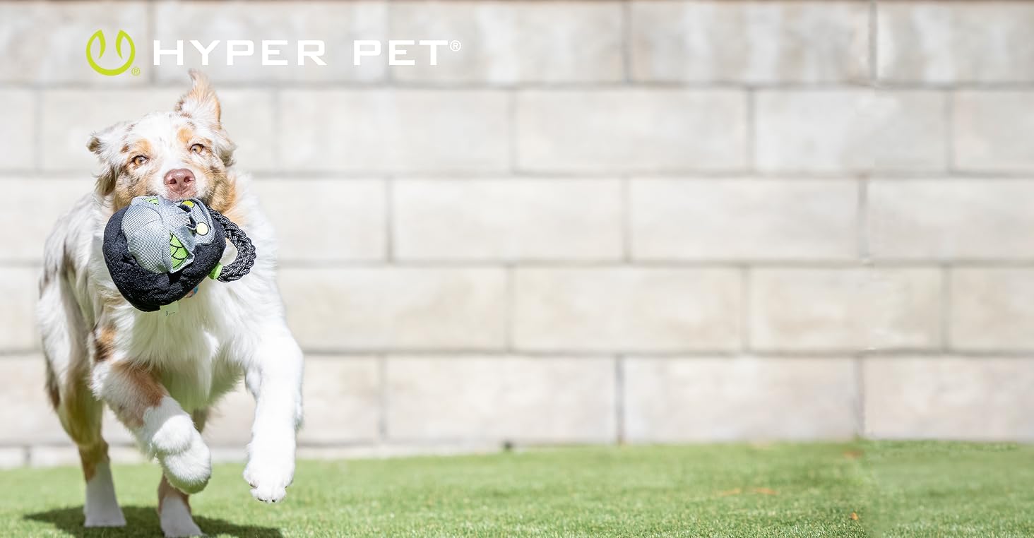 hyper pet store dog toys 