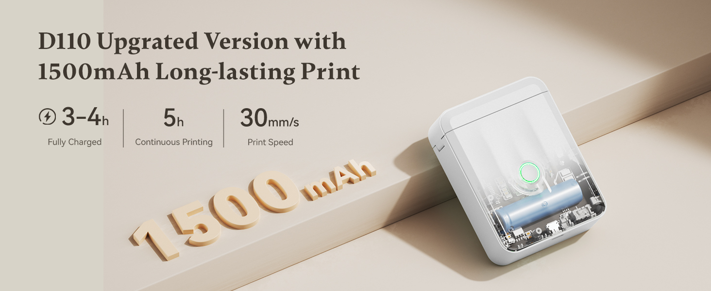 NIIMBOT D110 Chargeable Label Maker