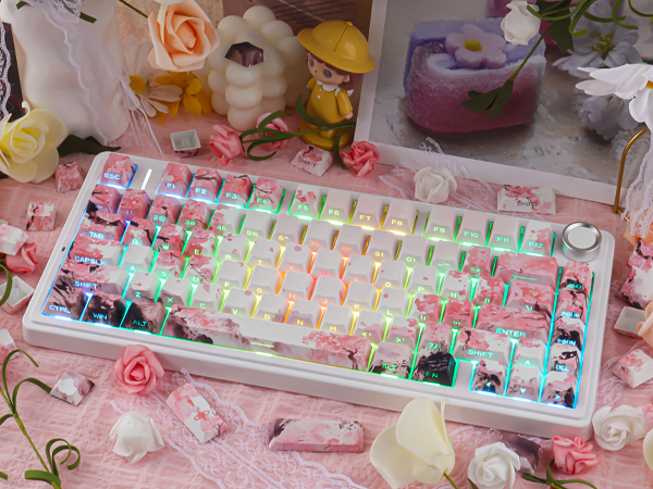 Pink Cherry Blossom Shine Through Keycaps