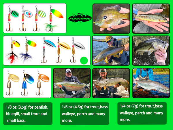 Multiple Weights for More Fish