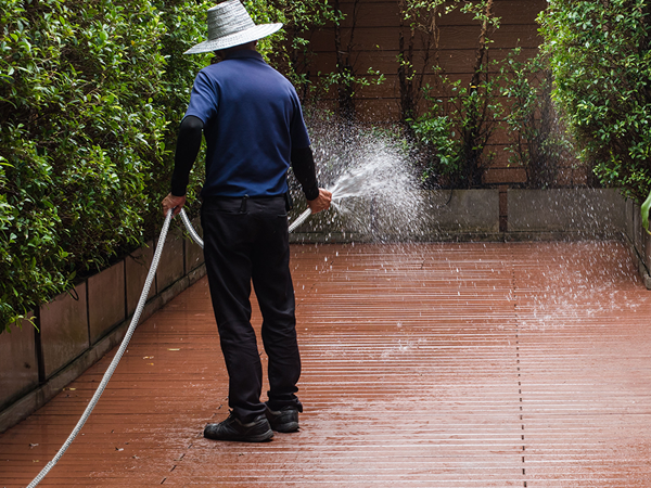 Backyard flushing
