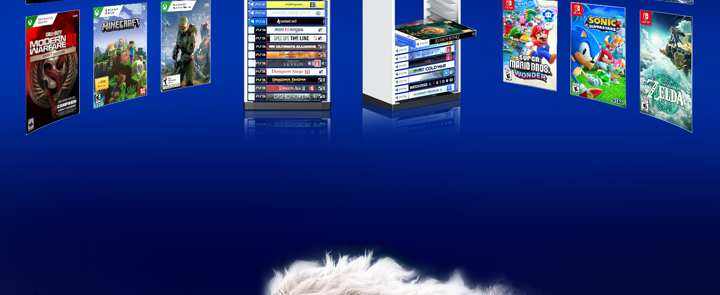 video game storage