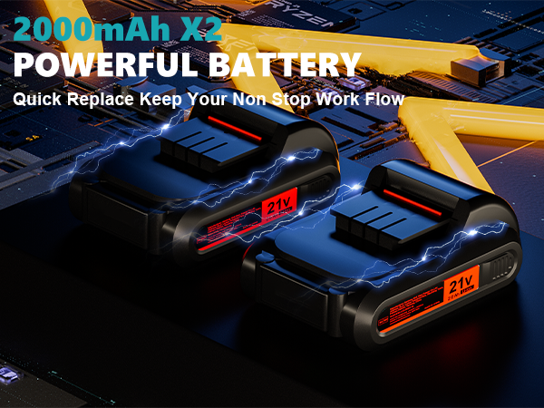 Drill with 2 Batteries and Charger