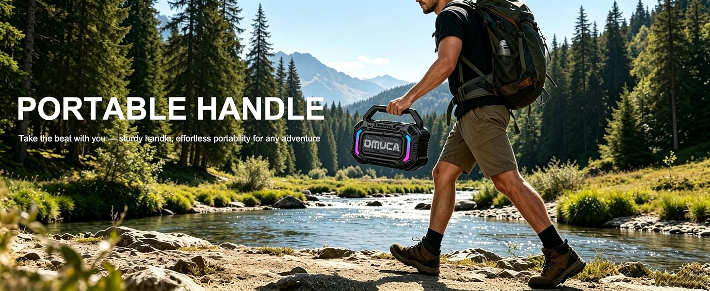 portable handle