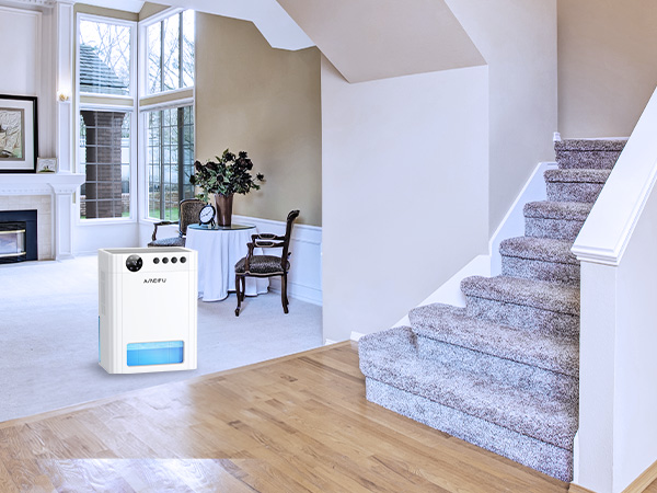 Dehumidifier