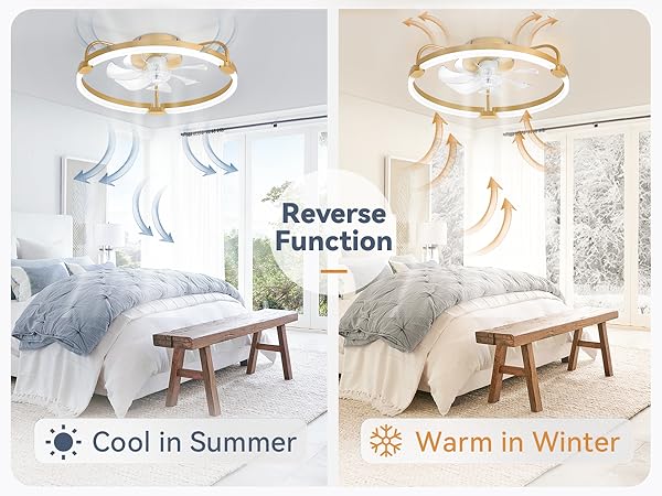 fandelier ceiling fan with light