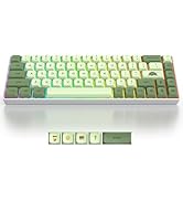 iRoboosta Gaming Keyboard 65 Percent, Compact 68 Key RGB Backlit Mechanical Keyboard, Red Switch ...