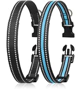 DTCollar Collar Replacement Strap Compatible with Dog Training Collar Receiver, Reflective Dog Co...