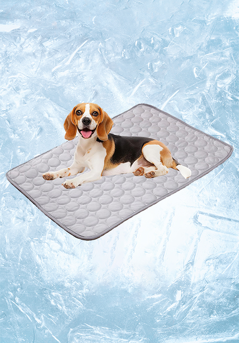 Rywell Super-Absorbent Cooling Mat for Dogs