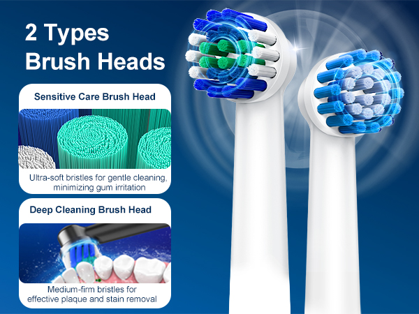 Electric Toothbrush for Adults
