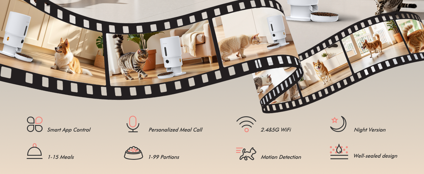 automatic cat feeder cat food dispenser pet feeder