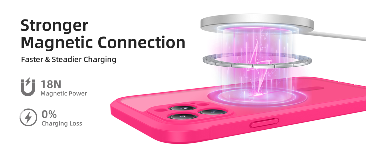 for iPhone 12 Pro Max Case