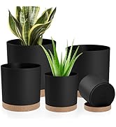 YNNICO Plant Pots with Drainage Holes and Saucers – 7, 6.5, 6, 5, 4 Inch Plastic Planters for Ind...