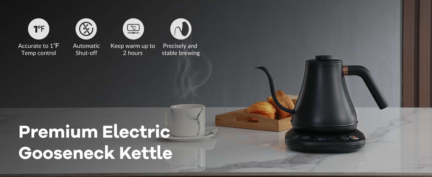 Electric Kettle Water Boiler