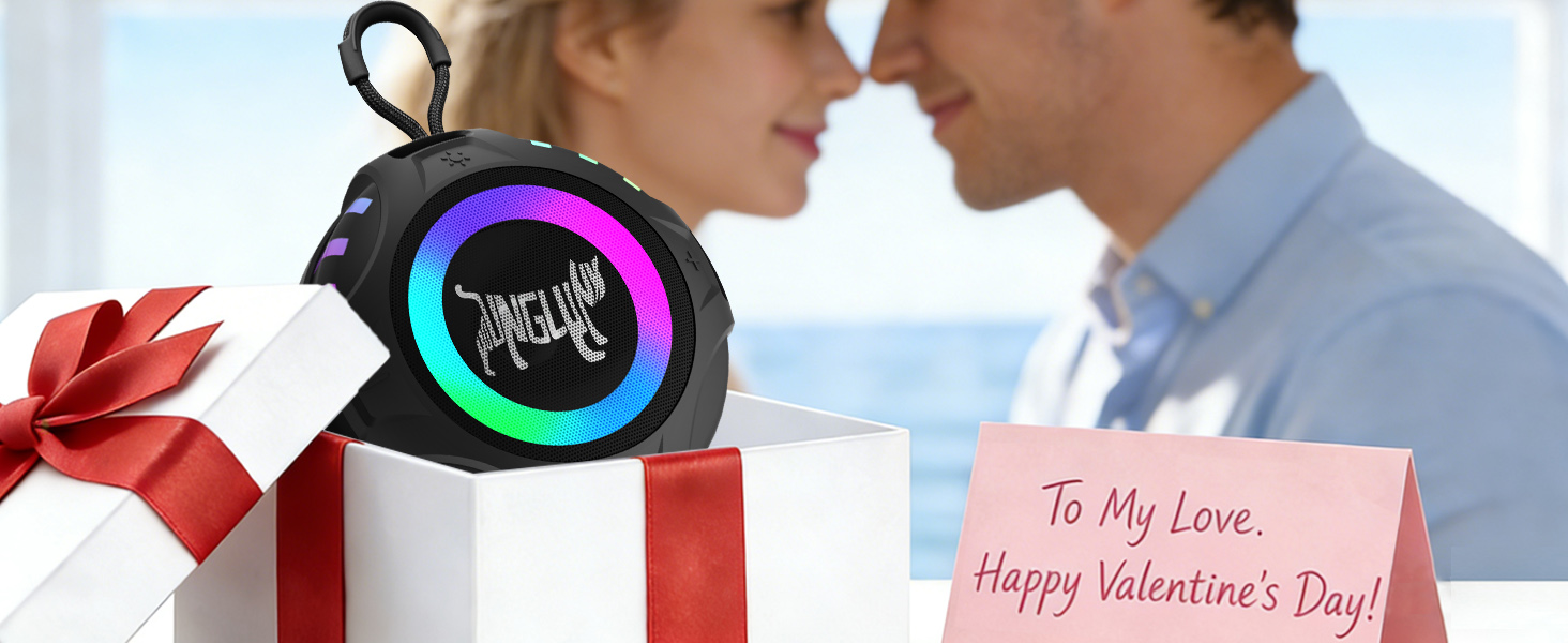 YYC Wireless Portable Bluetooth Speaker