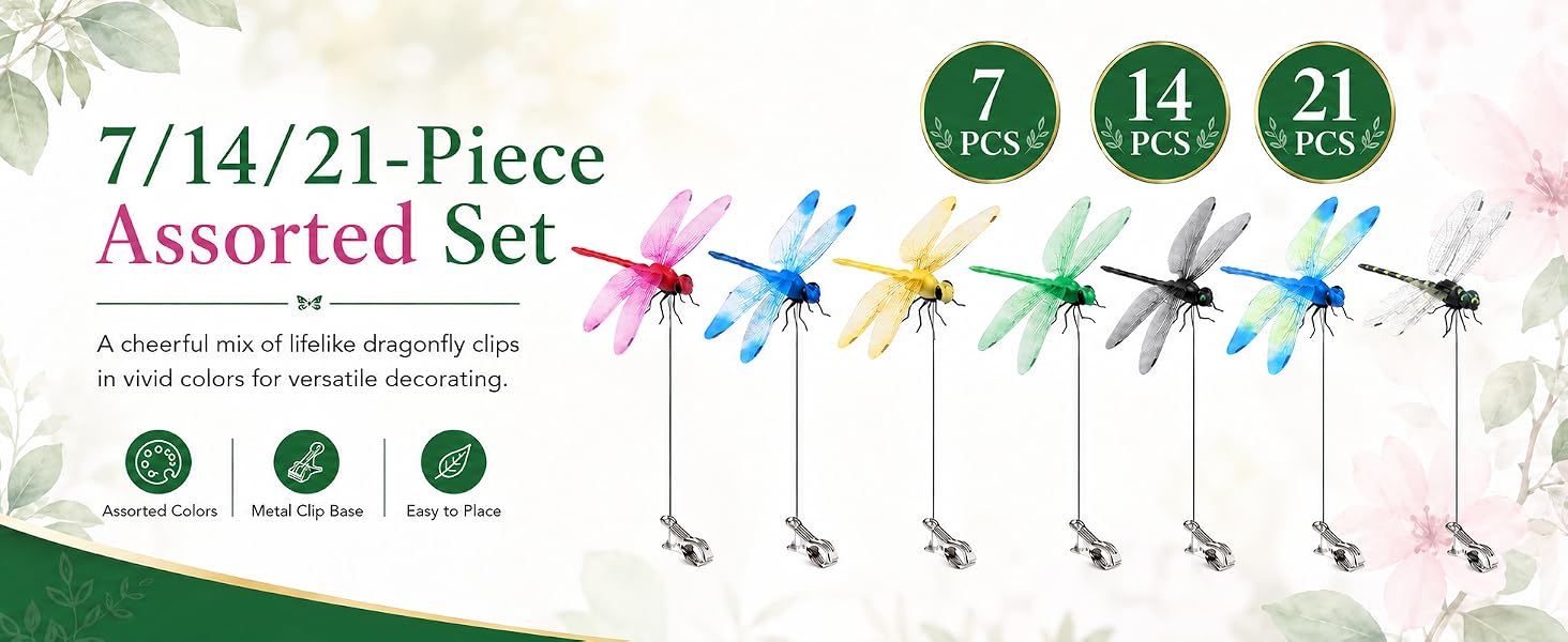 Fun Dragon Fly Clips Set