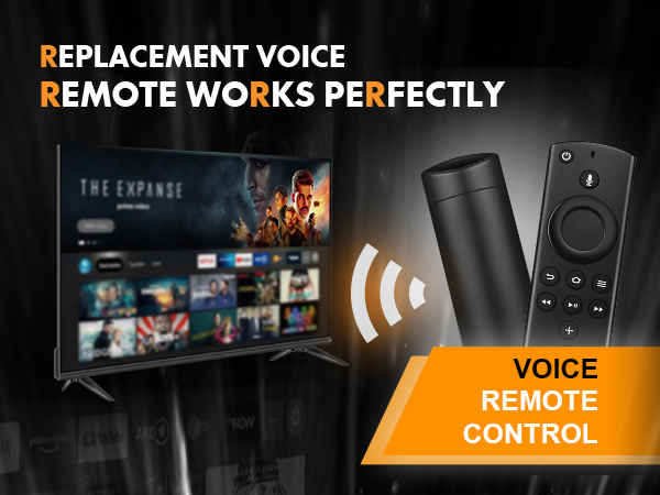 Voice Remote 