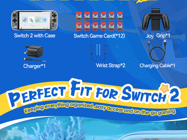 Switch 2 Carrying Case