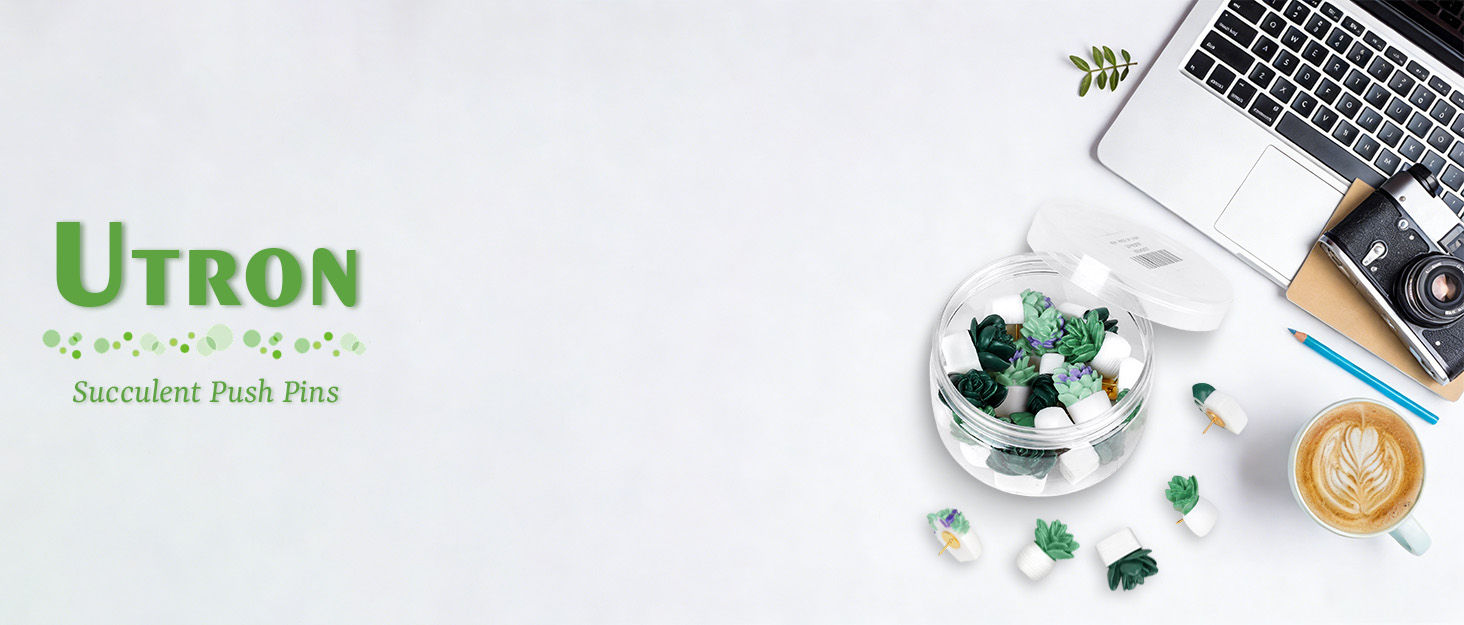 20 Pieces Cute Succulent Plants Decorative Push Pins Colorful Floret Thumbtacks for Photo Wall