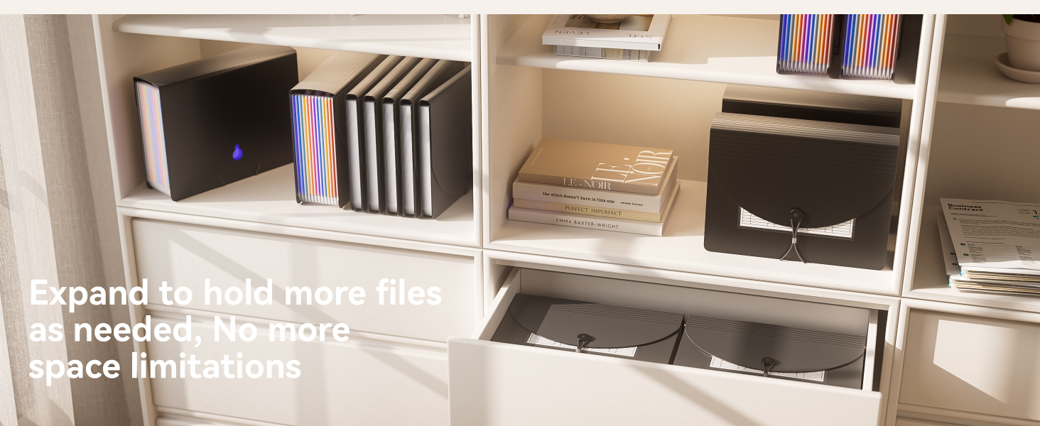 ThinkTex Expanding File Folder 12 Pockets Accordion File Organizer