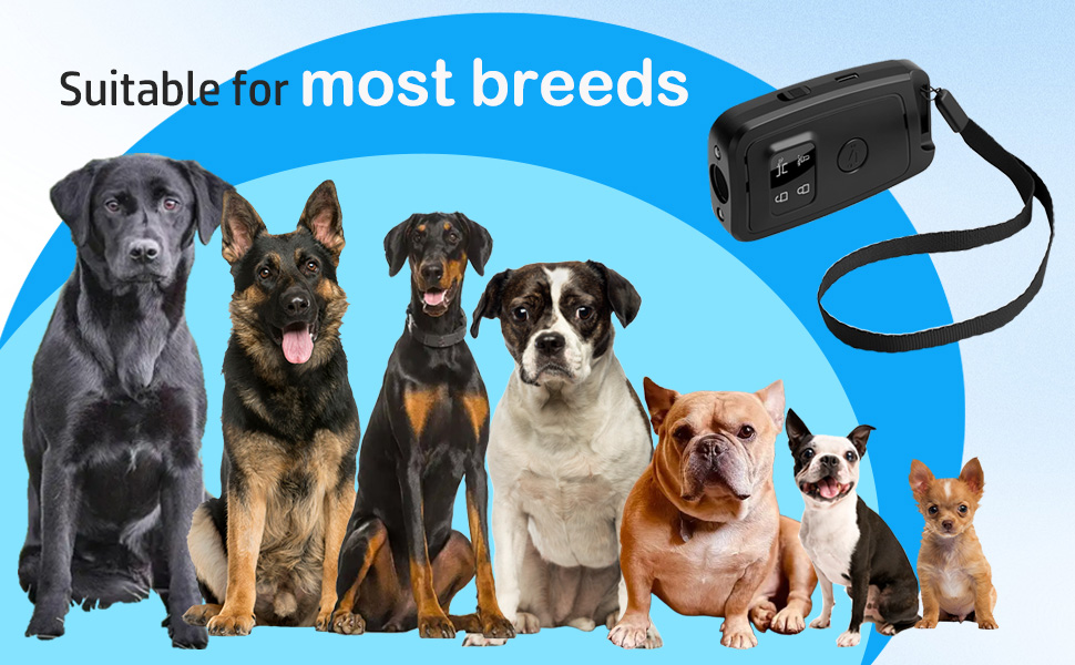 ultrasonic dog bark deterrent