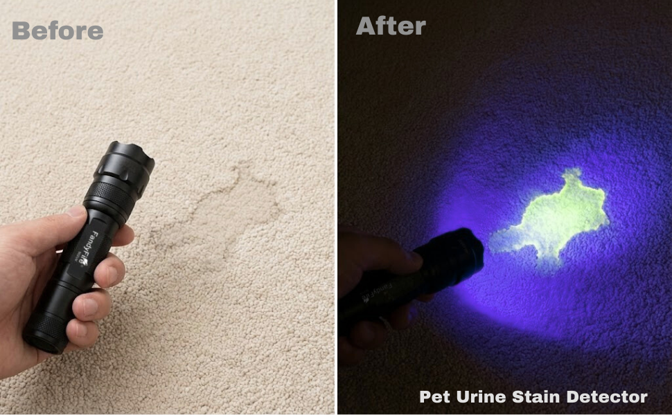 pet urine stain detection