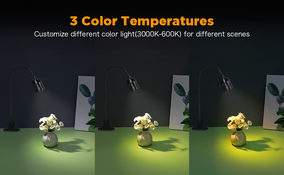 Zoomable Clip on Lamp