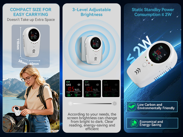 Portable Gas and Carbon Monoxide Detector